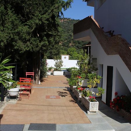 Apartamento Guadiaro 3 Ainhoa Benaoján Kültér fotó